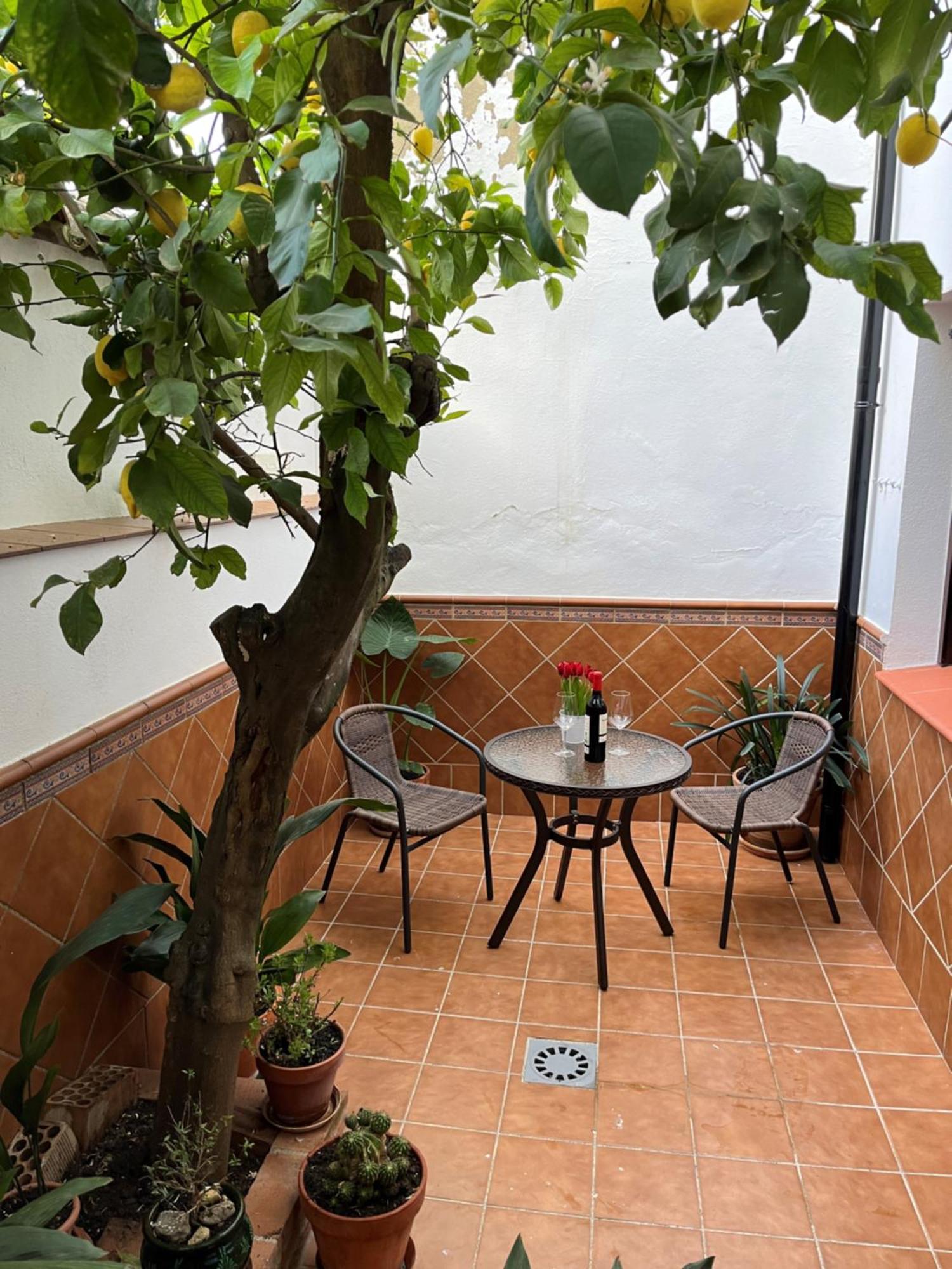 Casa Arao Villa Grazalema Kültér fotó