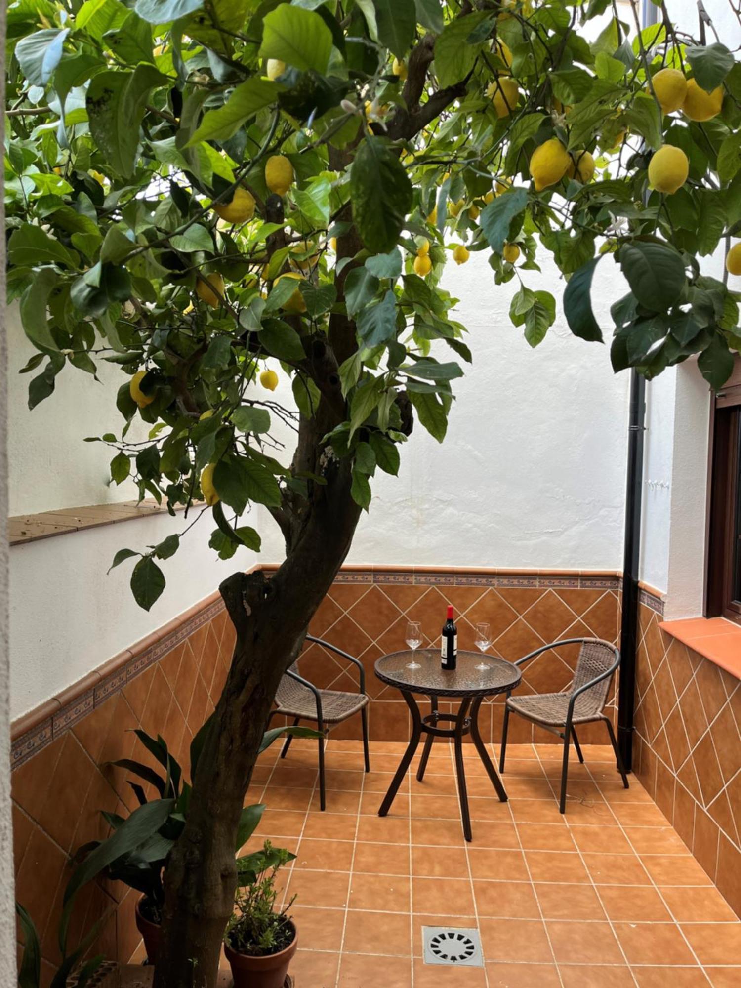 Casa Arao Villa Grazalema Kültér fotó